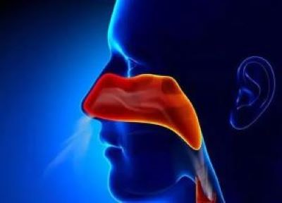 是什么引起鼻咽癌呢?用什么方法治疗好?广州老中医张忠民给出建议