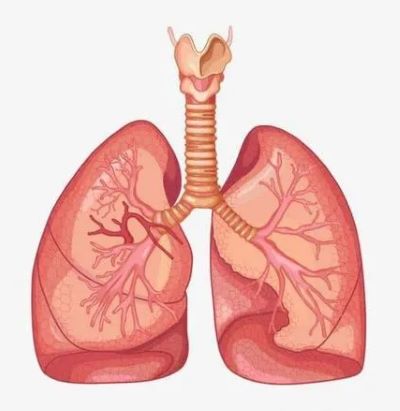 广州老中医张忠民:肺癌是如何发生在我们身上的?中医可以治疗吗