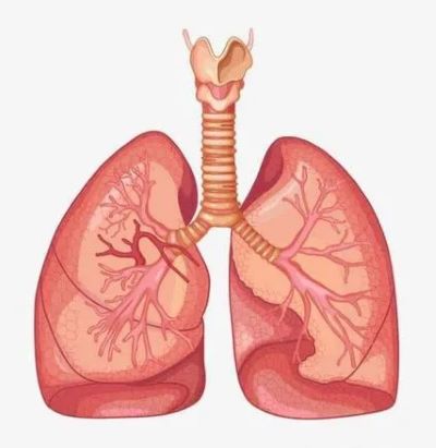 “绝食”疗法真的能治疗肺癌吗?广州中医医师这么说的