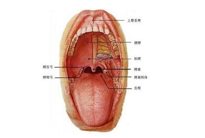患上舌癌怎么办？看中医是如何治疗舌癌的？